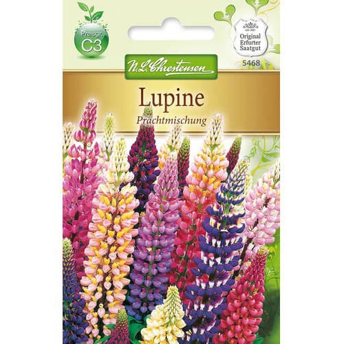 Lupin cu flori mari, mix multicolor imagine 1 articol 78975