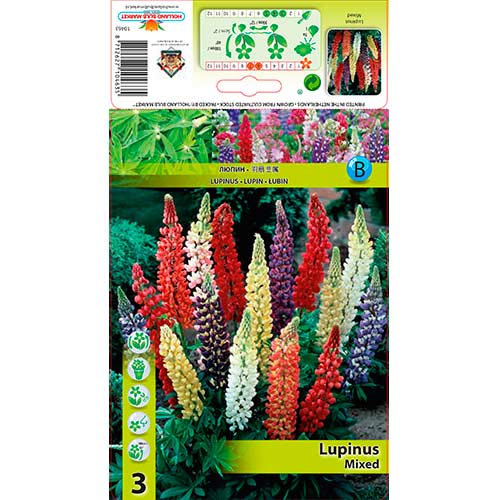 Lupin mix multicolor imagine 1 articol 76325