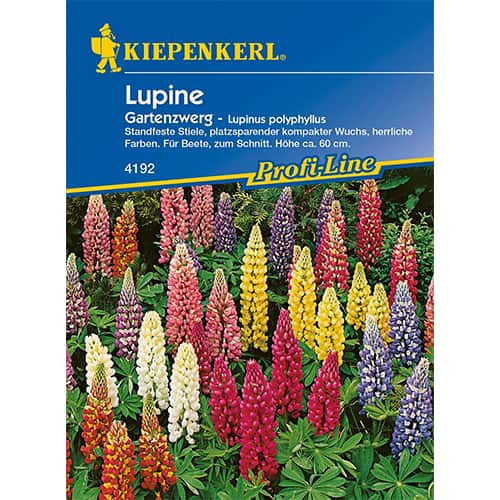 Lupin pitic de grădină imagine 1 articol 77449