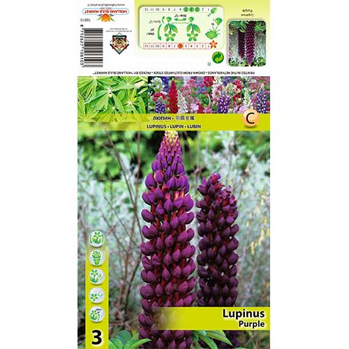 Lupin Purple imagine 1 articol 70440