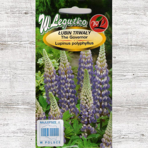 Lupin The Governor albastru Legutko imagine 1 articol 87105