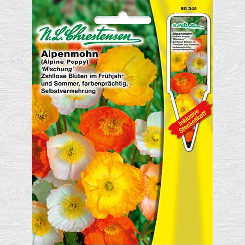 Mac de munte, mix multicolor imagine 1 articol 69348