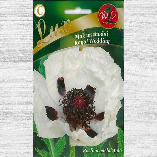 Mac oriental Royal Wedding imagine 1 articol 78666