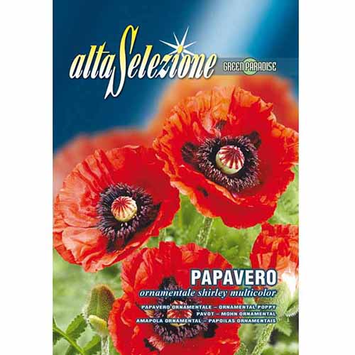 Mac ornamental roșu imagine 1 articol 96352