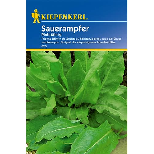 Măcriș peren imagine 1 articol 77474