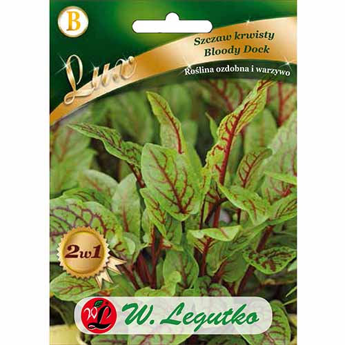 Măcriș roșu Bloody Dock imagine 1 articol 96822