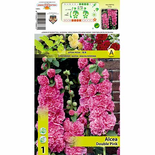 Malwa Double Pink interface.image 1 interface.art 70323