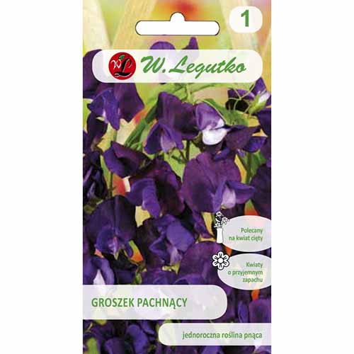 Lathyrus odoratus (Sângele voinicului) violet imagine 1 articol 96710