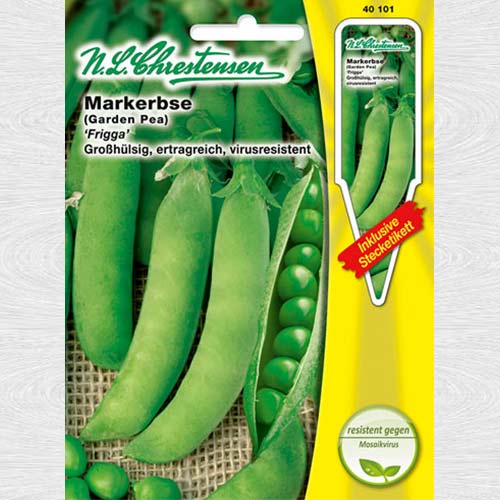 Mazăre Frigga imagine 1 articol 69115