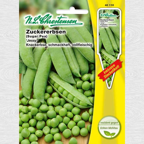 Mazăre Jessy imagine 1 articol 69224