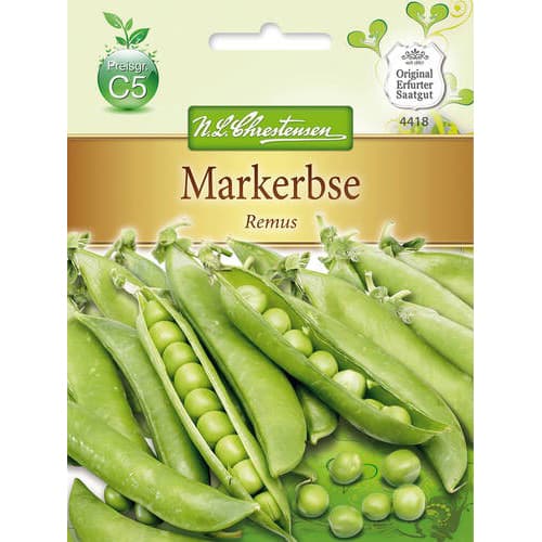 Mazăre Remus imagine 1 articol 78840