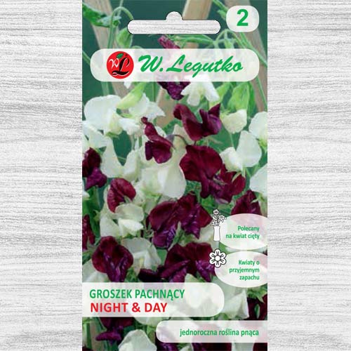 Măzăriche Night & Day, mix multicolor Legutko imagine 1 articol 78565