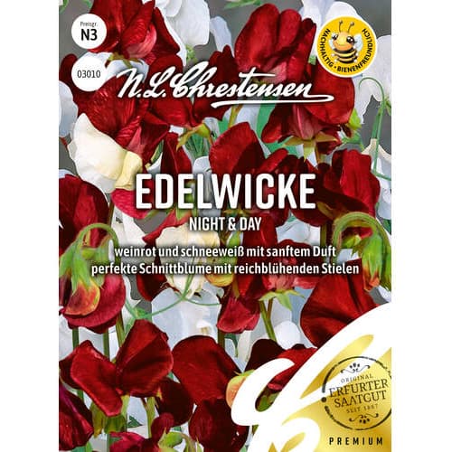 Măzăriche Night & Day imagine 1 articol 86149