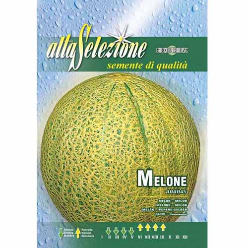 Melon Ananas Morami interface.image 1 interface.art 87160
