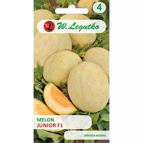 Melon Junior F1 interface.image 1 interface.art 69494