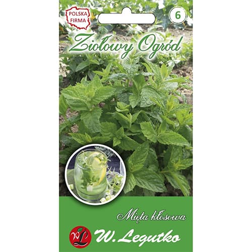 Mentă dulce imagine 1 articol 69679