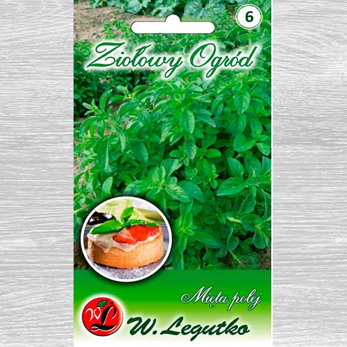 Mentă franțuzească Legutko imagine 1 articol 69682