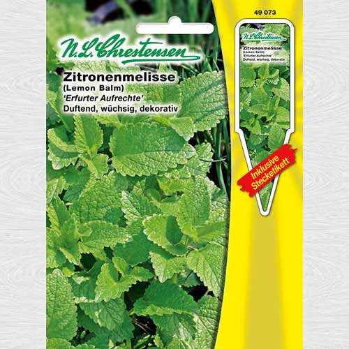 Mentă lămâioasă imagine 1 articol 69218