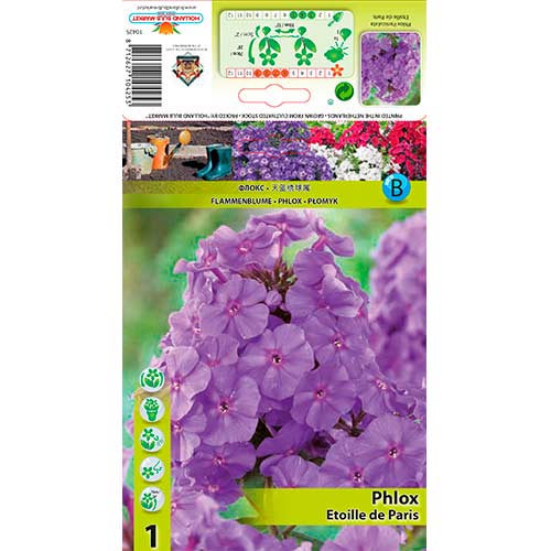 Метличен флокс Etoille de Paris изображение 1 артикул 76347