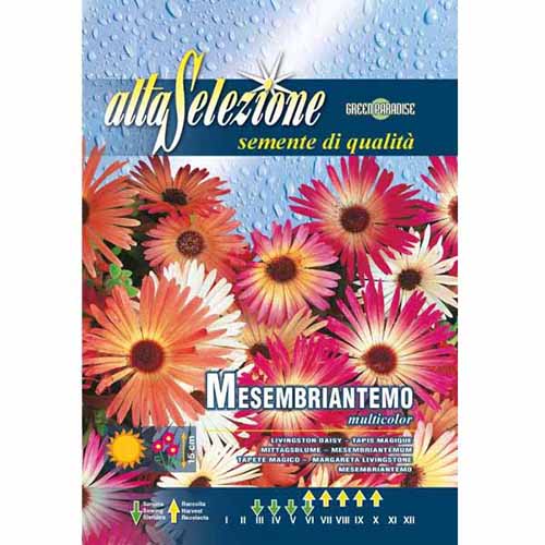 Мезембриантемум (Delosperma), смес от цветове изображение 1 артикул 96354