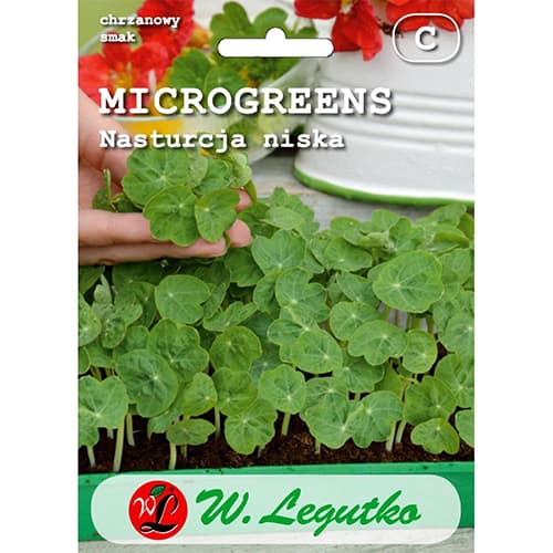 Microgreens - Латинка ниска изображение 1 артикул 78693