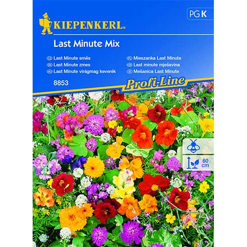 Mieszanka ozdobna Last Minute, mix kolorow interface.image 1 interface.art 87744