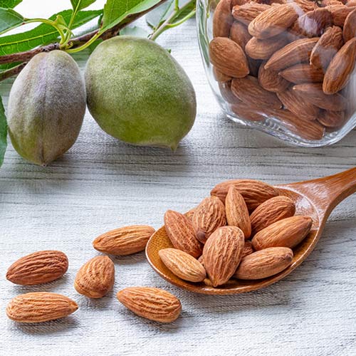 Migdal Avijor, С2 imagine 2 articol 7947