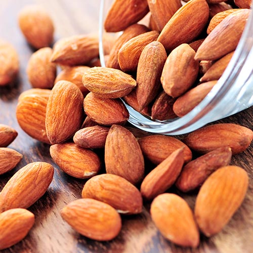 Migdal Barreta imagine 2 articol 7948