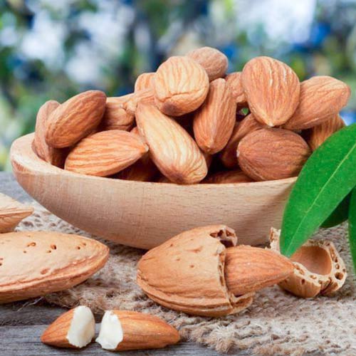 Migdal Ferragnes imagine 2 articol 7949