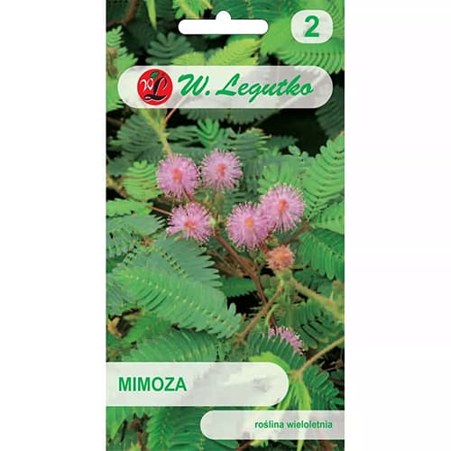 Mimoza interface.image 1 interface.art 69609