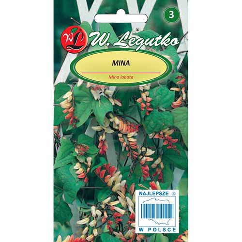 Mina lobata bicoloră imagine 1 articol 96758