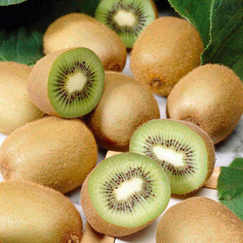 Mini-kiwi (Actinidia) Jenny imagine 1 articol 8424