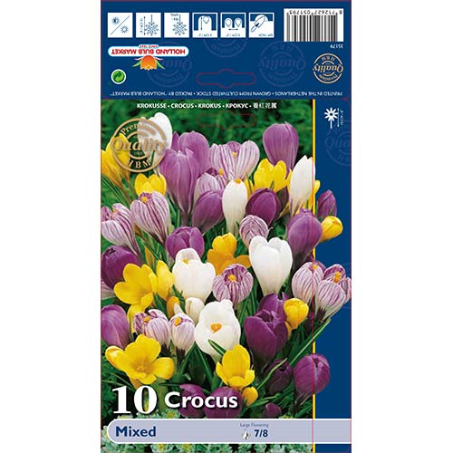 Минзухар eдроцветен, микс изображение 1 артикул 68015