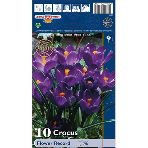 Минзухар Flower Record изображение 1 артикул 67330