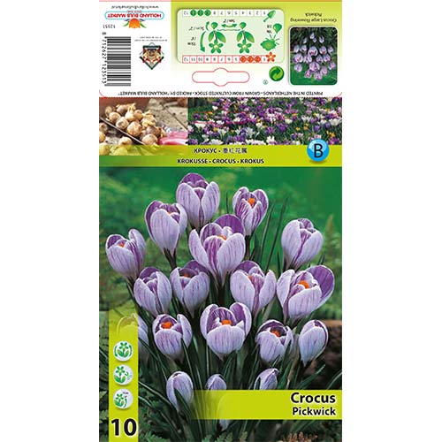 Минзухар Pickwick изображение 1 артикул 67335