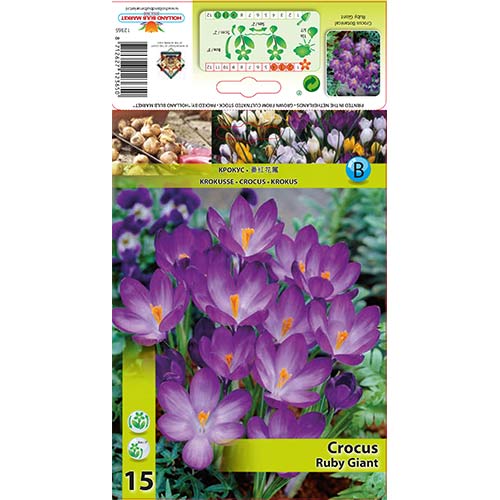 Минзухар Ruby Giant изображение 1 артикул 67338