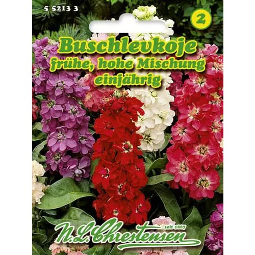 Mixandre cu flori mari, mix muticolor imagine 1 articol 96438