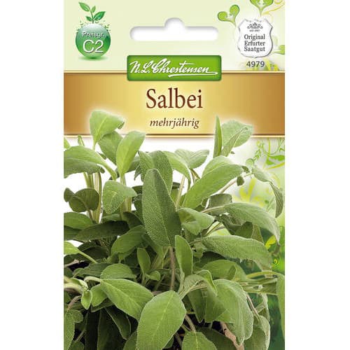 Многогодишна салвия изображение 1 артикул 78869