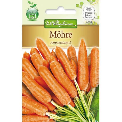 Morcovi Amsterdam 2 imagine 1 articol 78729