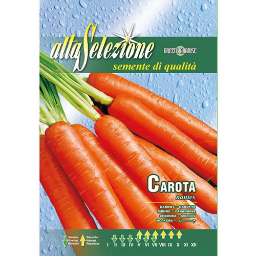 Morcovi Nantes imagine 1 articol 87158