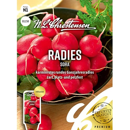 Morcovi Rotin, semințe pe bandă imagine 1 articol 78736