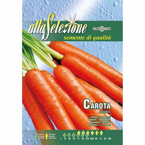 Морков Nantes изображение 1 артикул 87158