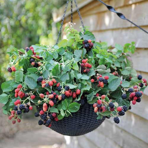 Mur Black Cascade imagine 1 articol 7615