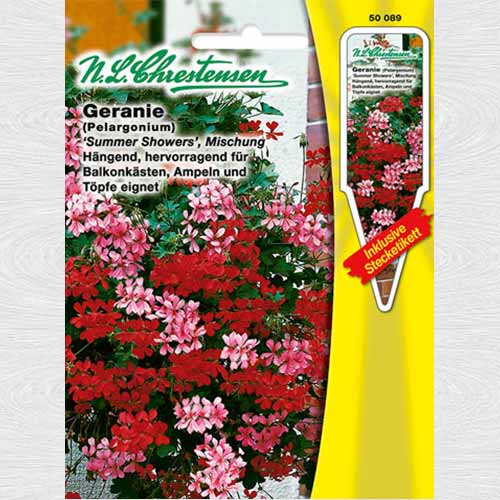 Mușcată curgătoare Summer Showers, mix multicolor imagine 1 articol 69351