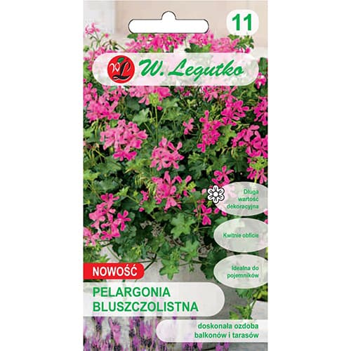 Mușcată Fuchsia F1 imagine 1 articol 78631