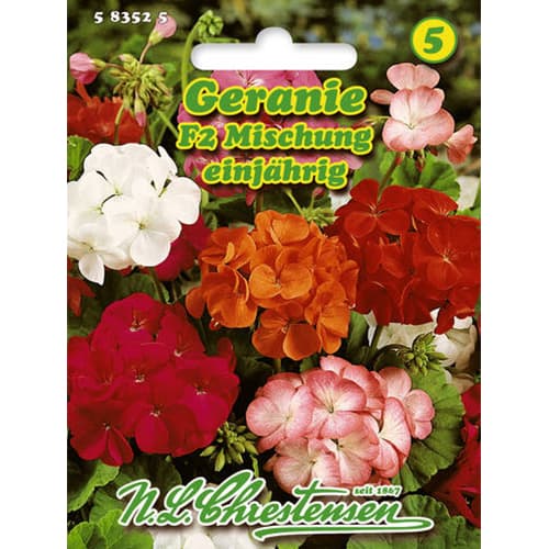 Мушкато с отстъпка (Geranium), смес изображение 1 артикул 78929