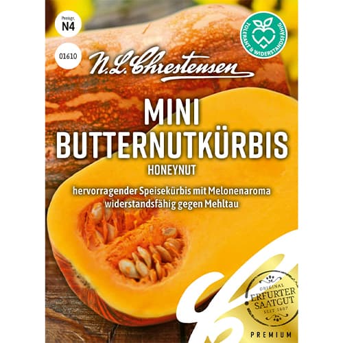 Мускатна тиква mini Honeynut изображение 1 артикул 86061