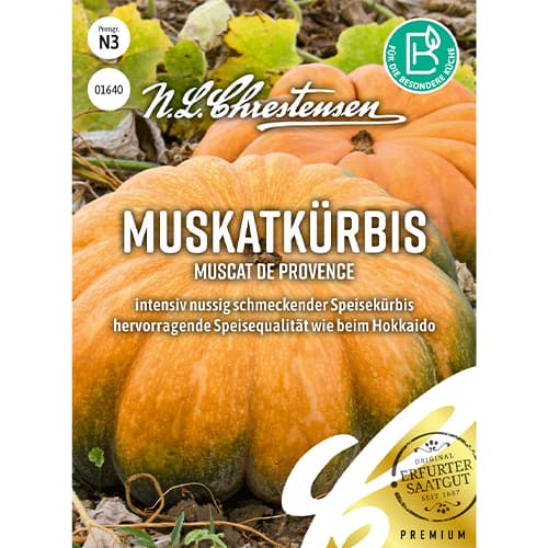 Мускатна тиква Muscat de Provence изображение 1 артикул 86071