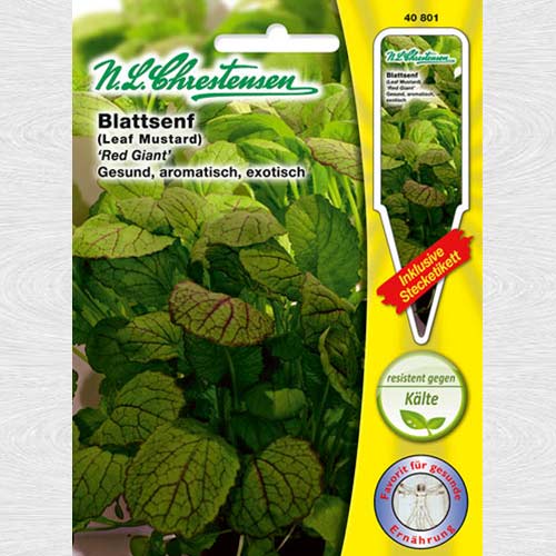 Muștar Red Giant imagine 1 articol 69038