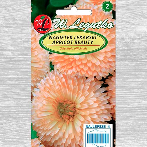 Nagietek lekarski Apricot Beauty Legutko interface.image 1 interface.art 69611